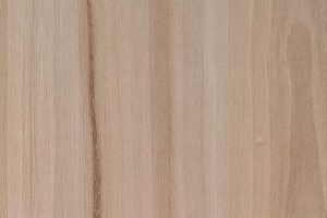 SK 3822 W Akassika Spruce