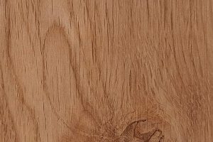 SK 3835 W European Oak